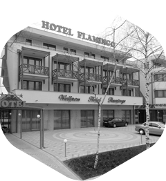 Hotel Flamingó